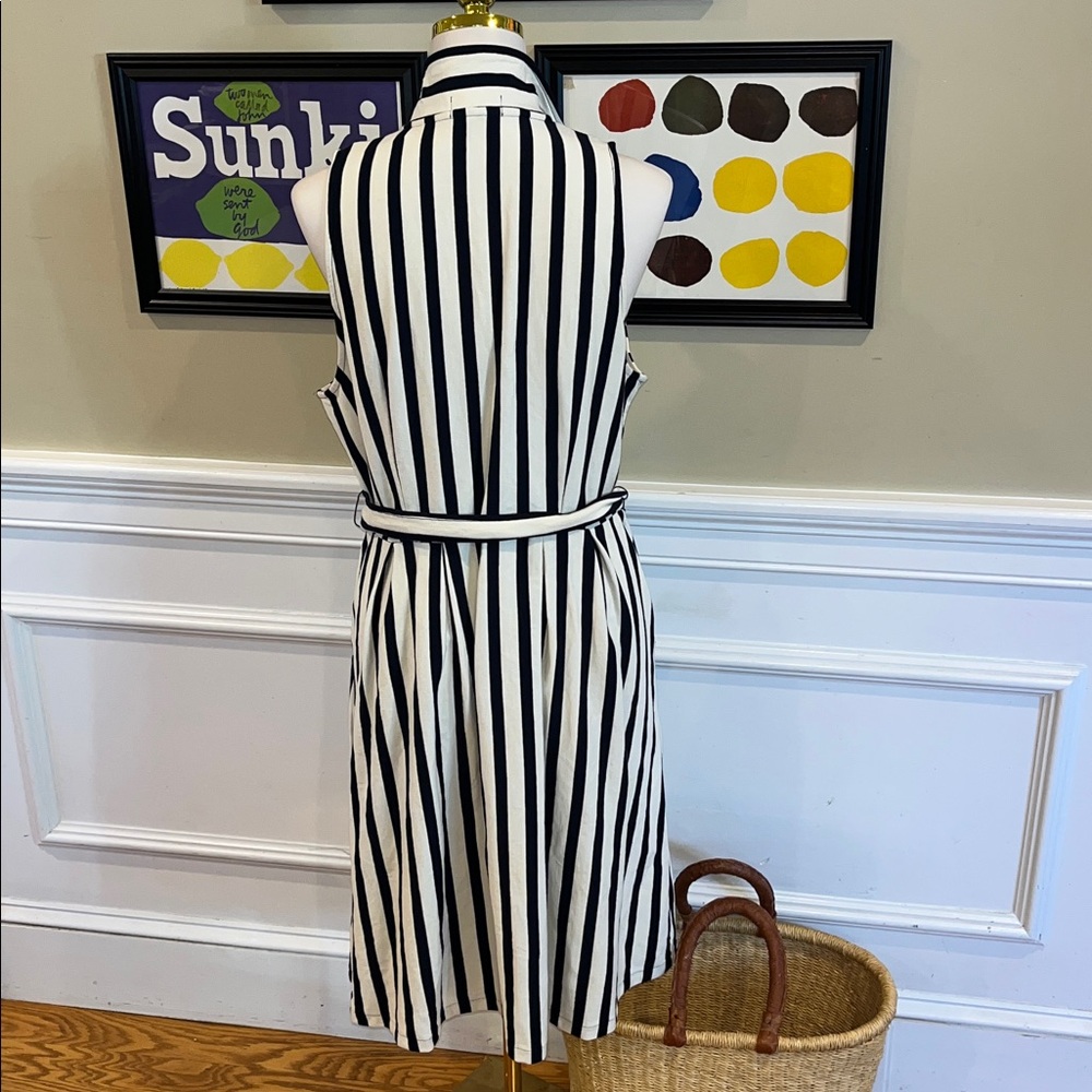 Anthropologie Black and White Striped Midi Dress - Picture 7 of 11